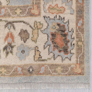 Carolyn Blue Turkish 8x10 Distressed Look Oushak Wool Rug