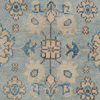 Sylvan 8x10 Soft Blue Floral  Oushak Hand Knotted Wool Rug