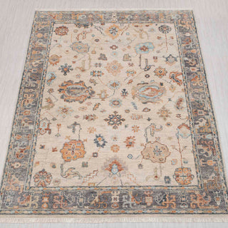 Inaya 9x12 Ivory Gray Persian Style Inspired Soft Wool Rug