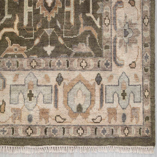 Jason Olive Green 8x10 Persian Style Traditional Oushak Rug